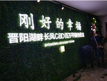 樹(shù)脂發(fā)光字作特點(diǎn)有哪些呢？山西德軒做字廠(chǎng)和您分享